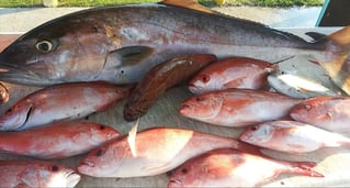 Jacksonville Offshore Fishing