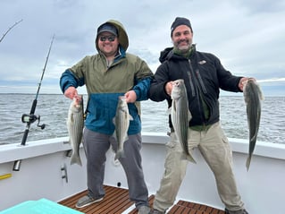 4-8 Hour Inshore Trip