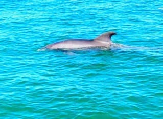 Private Boat Charters