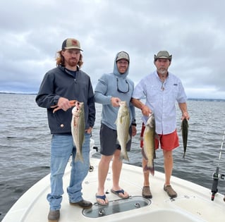 Stripe Bass fishing Trip