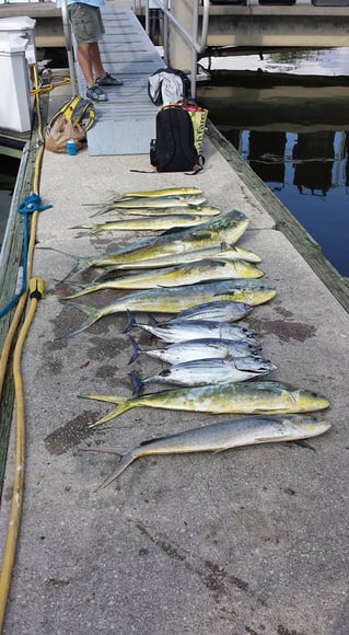 Sport Fishing Trips