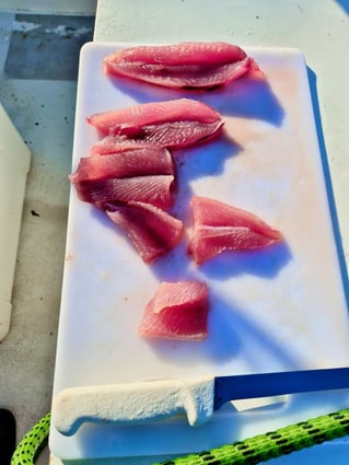 Offshore Fishing Trip