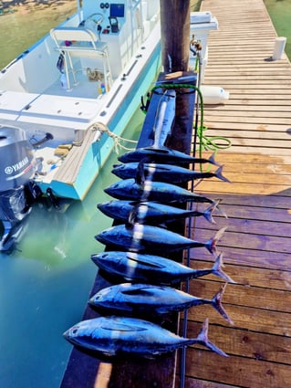 Offshore Fishing Trip