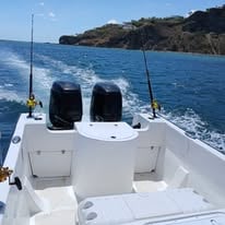 4-8 Hour Offshore Trip