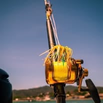 4-8 Hour Offshore Trip