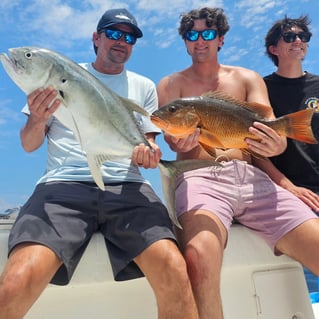 Inshore Sportfishing