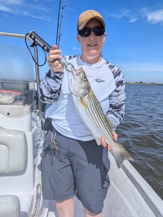 5 Hour Striped Bass In-Shore Trip