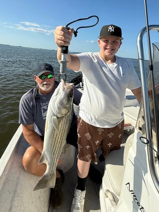5 Hour Striped Bass In-Shore Trip