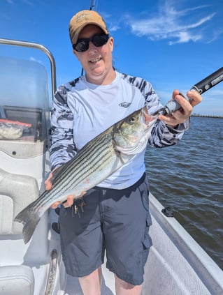 5 Hour Striped Bass In-Shore Trip