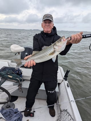 5 Hour Striped Bass In-Shore Trip