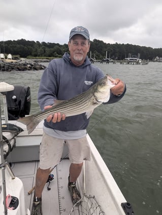 5 Hour Striped Bass In-Shore Trip
