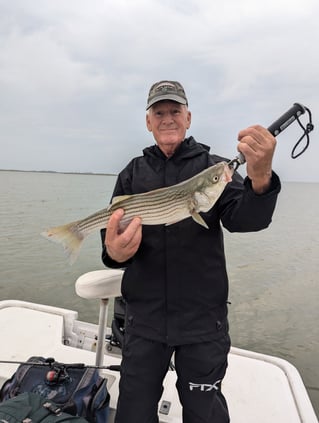 5 Hour Striped Bass In-Shore Trip