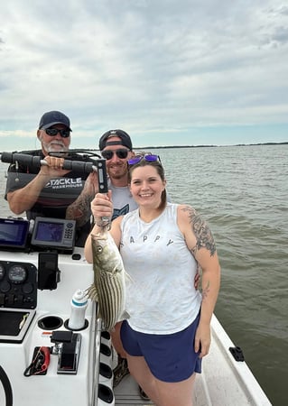 5 Hour Striped Bass In-Shore Trip