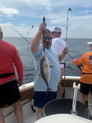 5-14 HR Bottom & Trolling