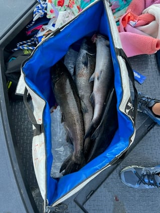 Full Day Trip Columbia River