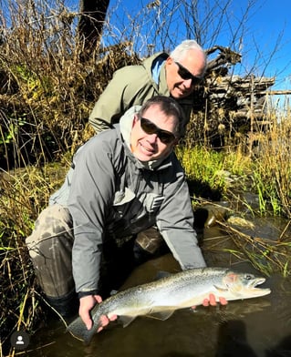 Steelhead Fishing