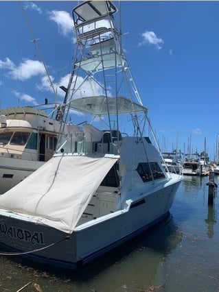 Deep Sea Sport Fishing