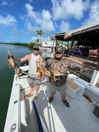 Iguana Hunt 
