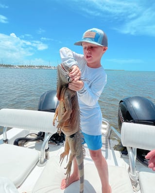 Iguana Hunt 
