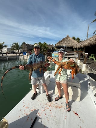 Iguana Hunt 