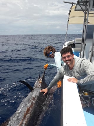 Sport Fishing Trip - 28'