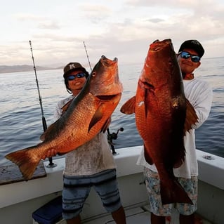 Sport Fishing Trip - 28'