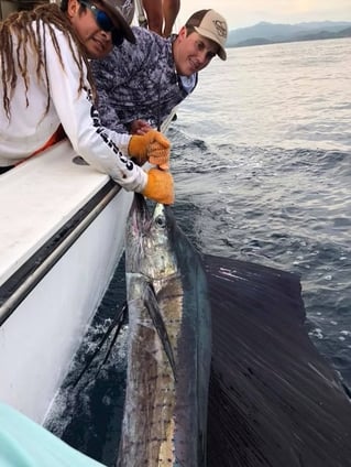 Sport Fishing Trip - 28'