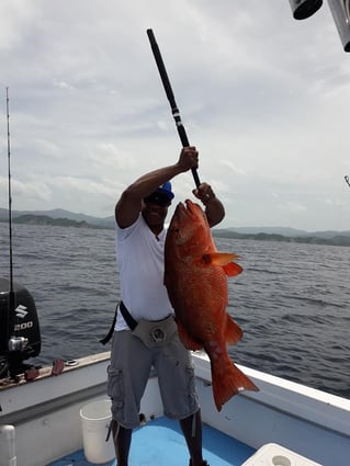 Offshore Fishing Trip - 28'