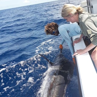 Offshore Fishing Trip - 28'