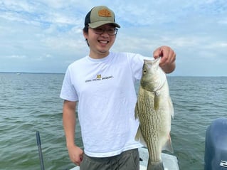 Morning or Afternoon Trips 