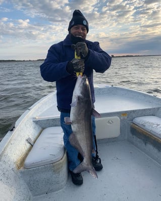 Morning or Afternoon Trips 