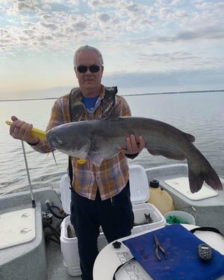 Morning or Afternoon Trips 