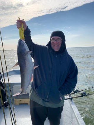 Morning or Afternoon Trips 