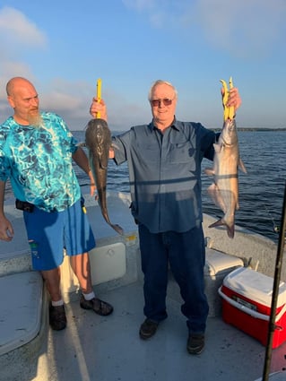 Morning or Afternoon Trips 