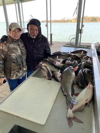 Morning or Afternoon Trips 