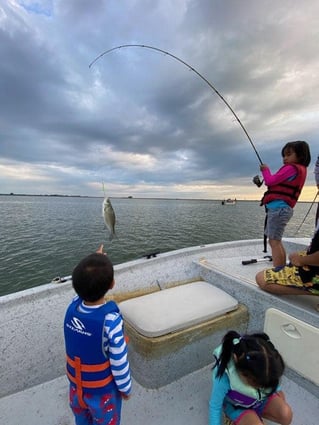 Morning or Afternoon Trips 