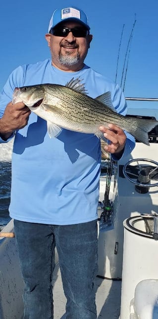 Morning or Afternoon Trips 