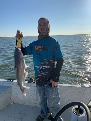 Morning or Afternoon Trips 