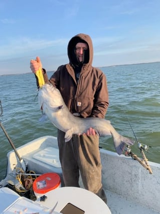 Morning or Afternoon Trips 