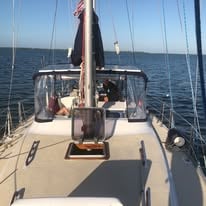 Set Sail with Captain Harry