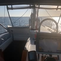 Set Sail with Captain Harry