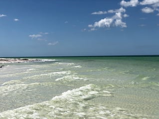 Full or Half Day Sail