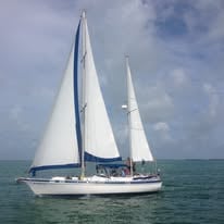 Set Sail with Captain Harry