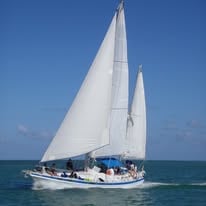 Set Sail with Captain Harry