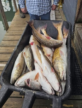 4 - hour Rod Bending Jetty Trip