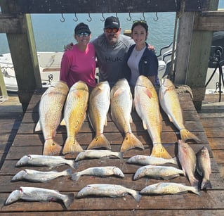 4 - hour Rod Bending Jetty Trip