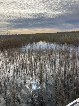 5-8 Hour Bass Fishing Trip