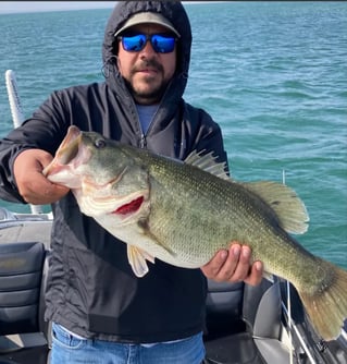 5-8 Hour Bass Fishing Trip