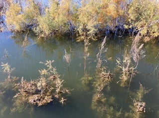 5-8 Hour Bass Fishing Trip