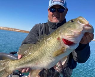 5-8 Hour Bass Fishing Trip